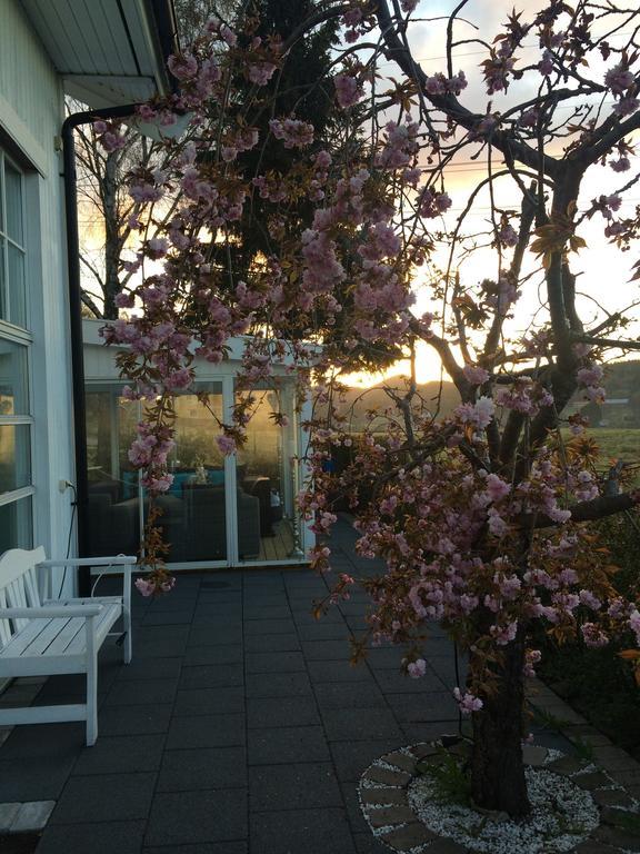 Café Torpet B&B Skepplanda Esterno foto